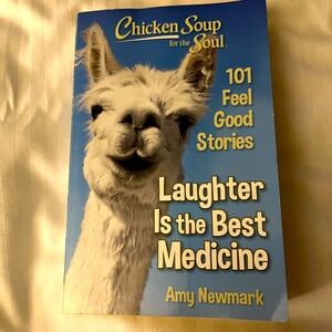 Chicken soup for the soul book